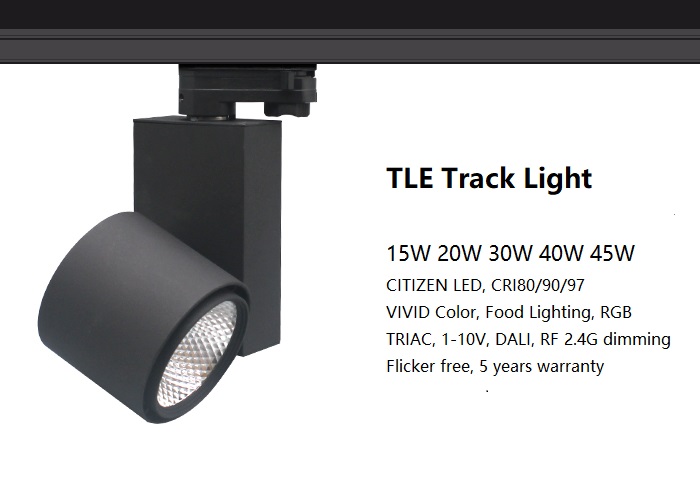 TLE track light.jpg