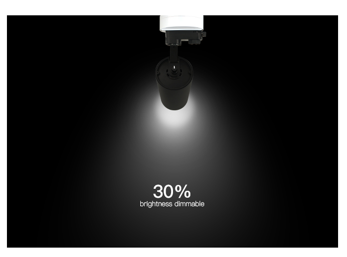 TLG track light dimmer on lamp 30% brightness.jpg