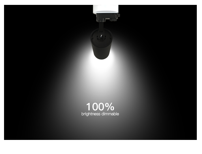 TLG track light dimmer on lamp 100% brightness.jpg