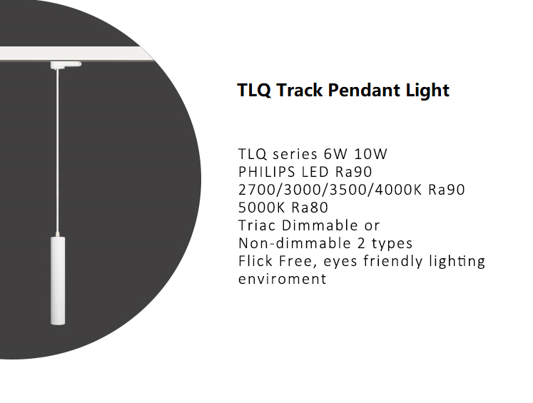 TLQ track pendant lights.png