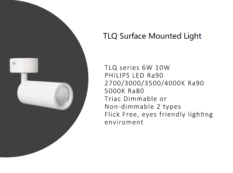 TLQ Surface mounted spotlight.png